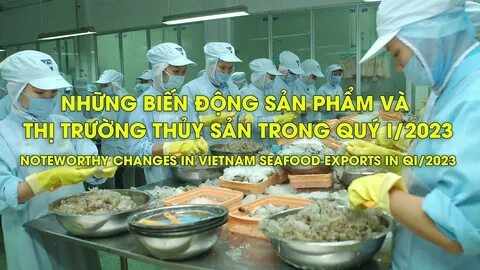 Cách Khởi Nghiệp Kiếm Tiền Bán Thời Gian Dành Cho Người Mới_Tìm người xây dựng video tự do