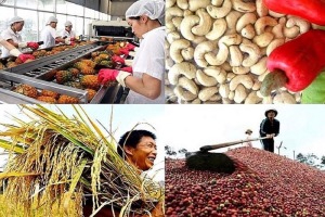 Cách Khởi Nghiệp Kiếm Tiền Bán Thời Gian Dành Cho Người Mới